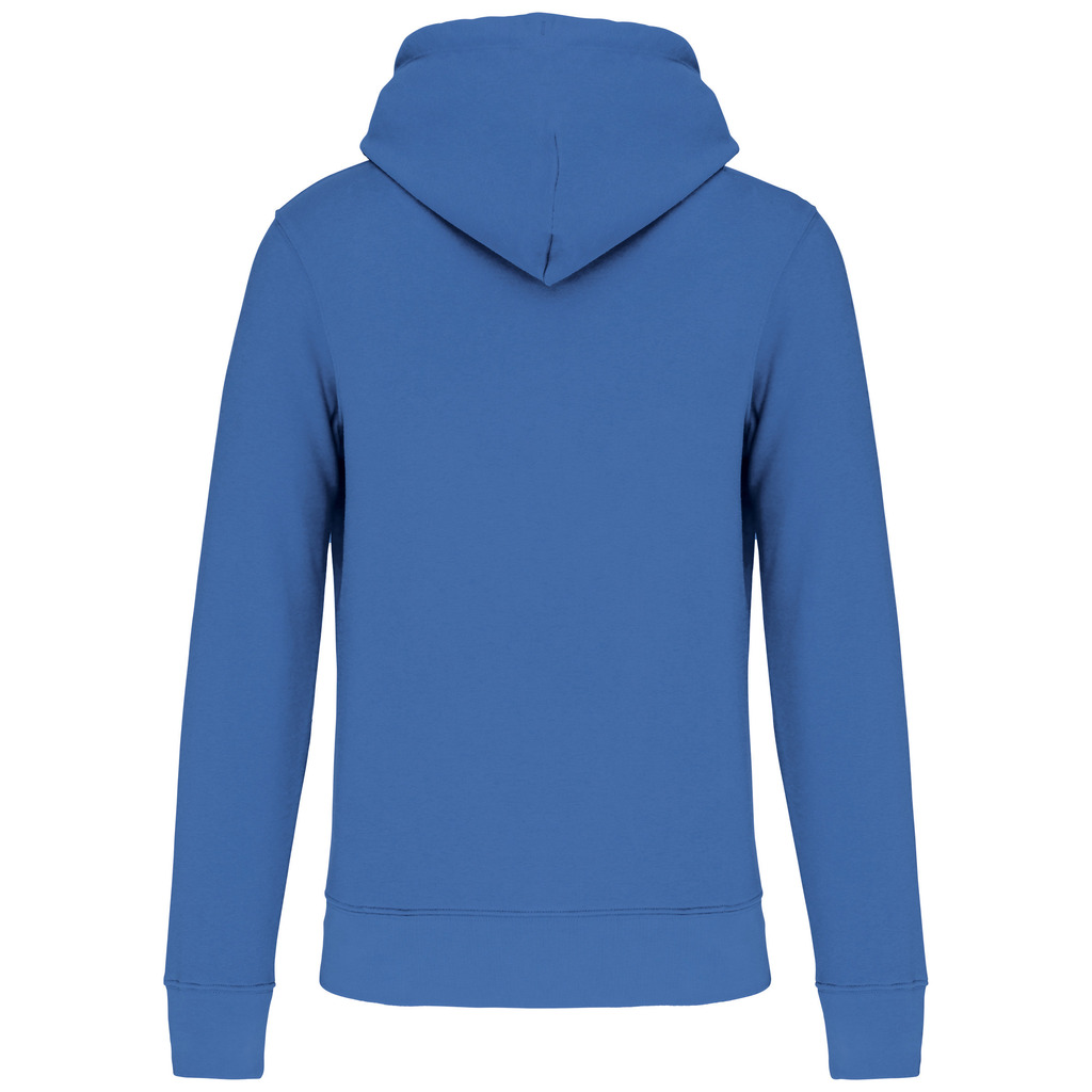 Light-royal-blue