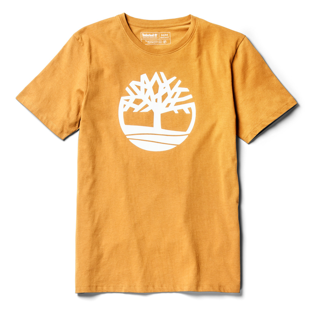 Wheat