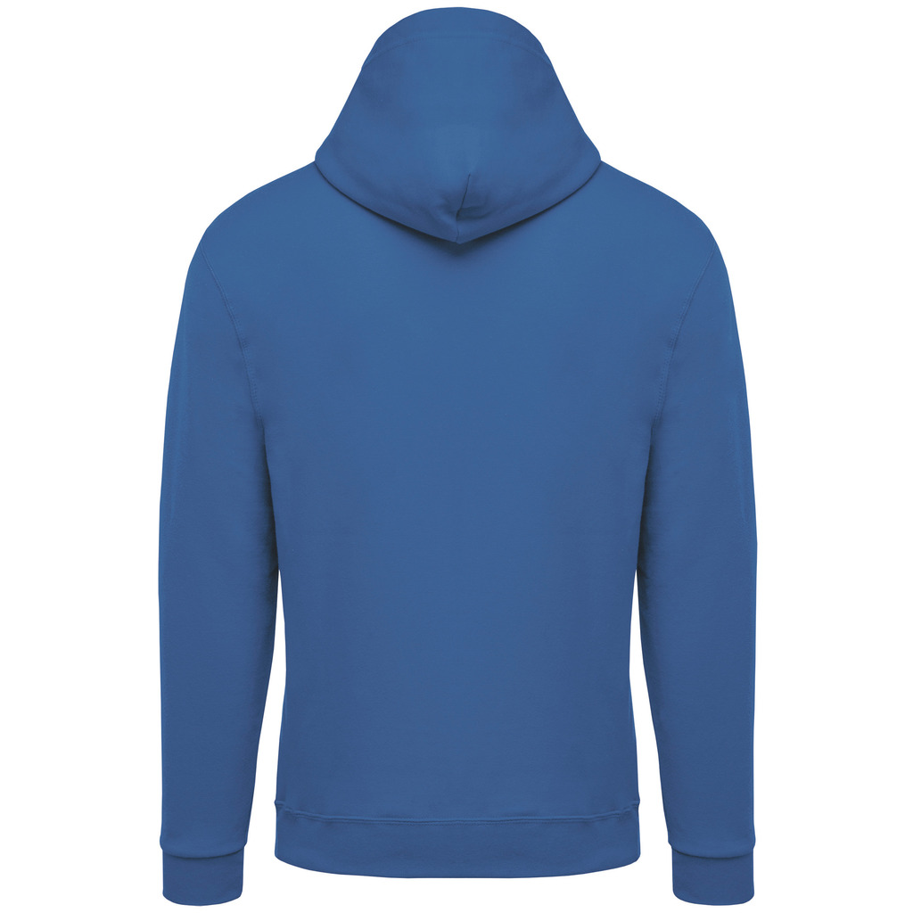 Light-royal-blue