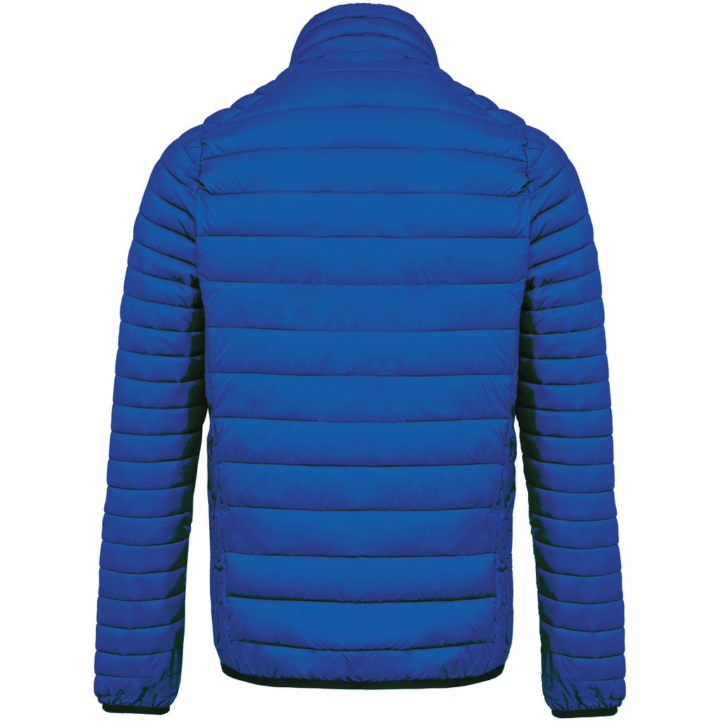 Light-royal-blue