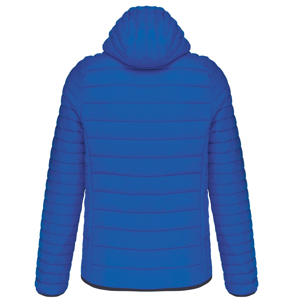 Light-royal-blue