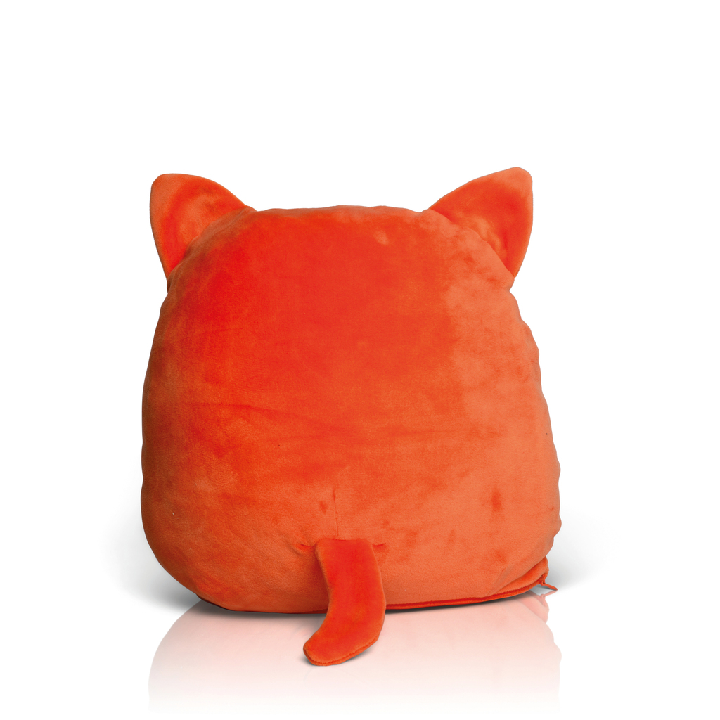 Ginger-cat
