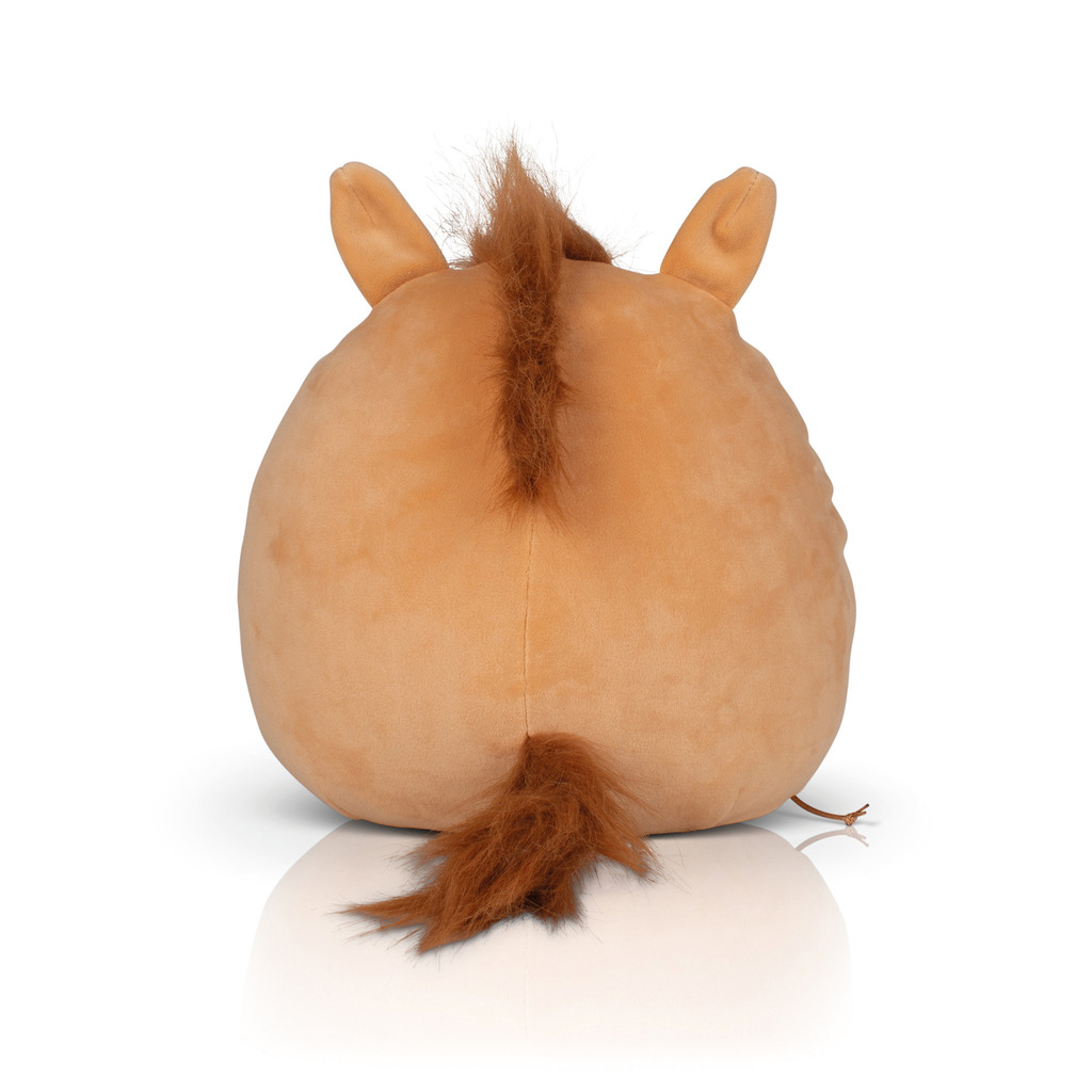 Pony