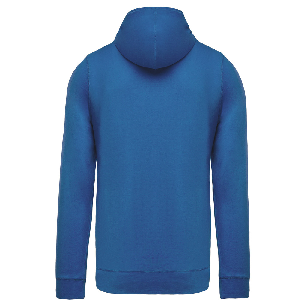 Light-royal-blue
